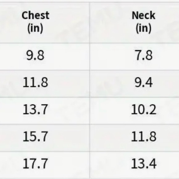 NEW Small Dogs Blue Daisies summer Dress with Bow Lightweight and fun, size S - Picture 5 of 5